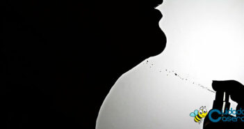 Perfumes caseros Perfumes caseros