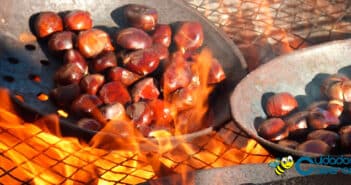 Beneficios de las castañas Beneficios de las castañas