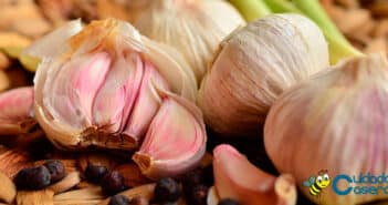 Beneficios del ajo Beneficios del ajo