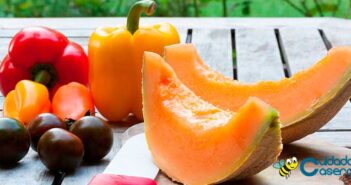 Beneficios del melón Beneficios del melón