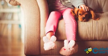 Beneficios de tener mascotas en casa Beneficios de tener mascotas en casa