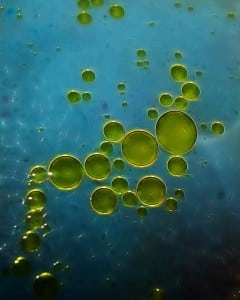 gotas de aceite de oliva
